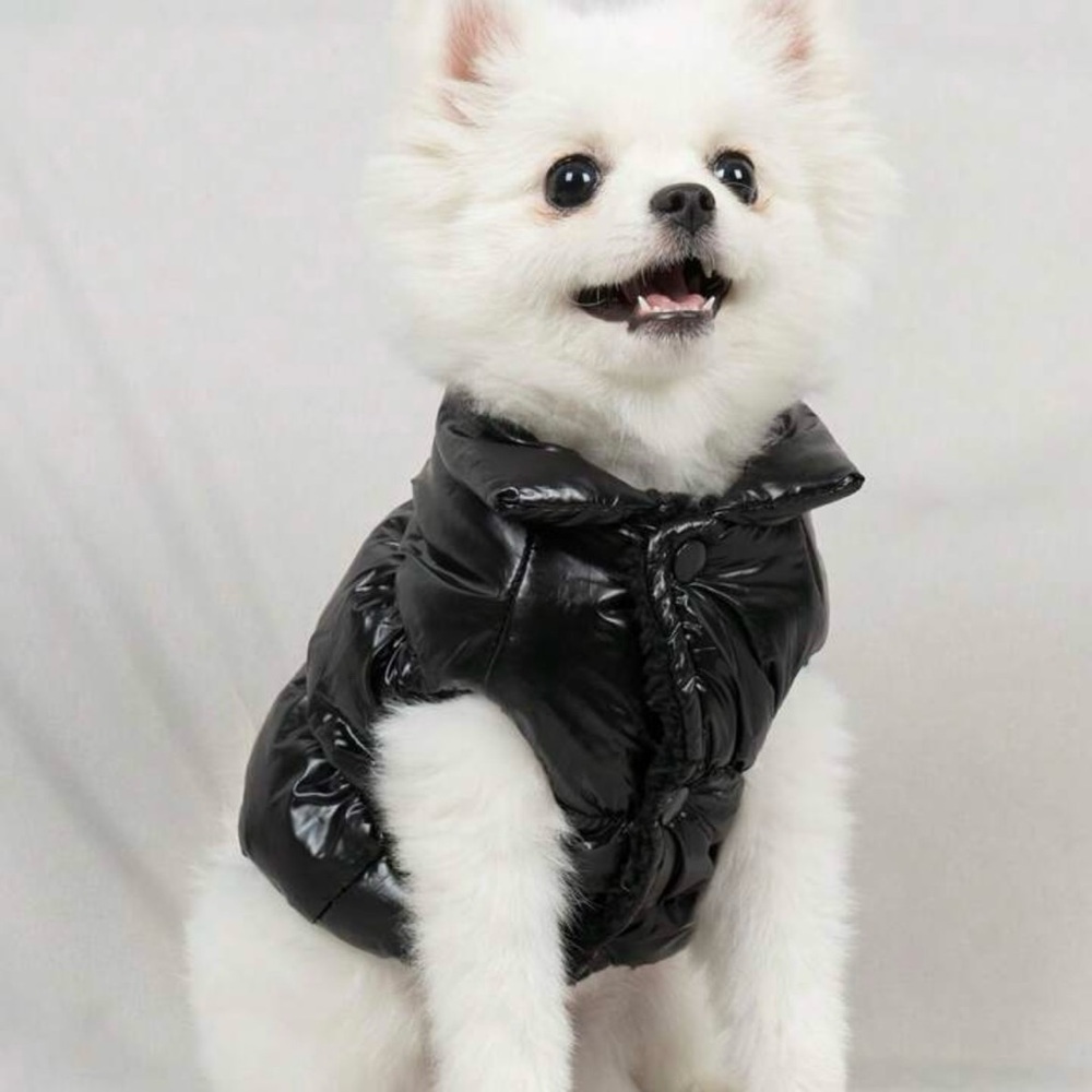 Dog Cat Puffer Jacket Black